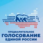 В 17 муниципалитетах Рязанской области началось электронное предварительное голосование