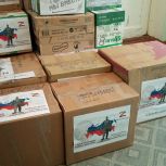 Умётские единороссы готовят к отправке партию гуманитарной помощи для бойцов специальной военной операции