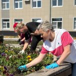 Субботник в поселке Шексна: вместе делаем наш дом чище