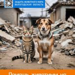 Сотрудничество с Курской областью