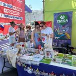 «Защита животного мира»: волонтёры формируют культуру гуманного отношения к животным в Приморье