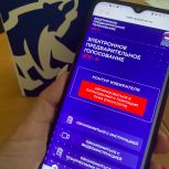 Сегодня последний день предварительного голосования «Единой России» в 17 муниципалитетах Рязанской области