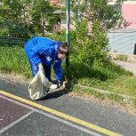 Более 20 субботников провели в Магадане этим летом активисты «Молодой Гвардии Единой России»