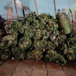 Из Ермишинского района и Сасовского округа отправили новую партию гуманитарного груза в зону СВО