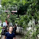 Татьяна Панфилова: Территория школы приведена в порядок