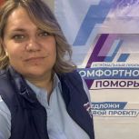 В Плесецком округе готовятся к участию в губернаторском проекте «Комфортное Поморье»