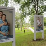 Обновленная Аллея семей открылась у Новгородского перинатального центра