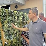 Алтайские волонтеры продолжают помогать участникам специальной военной операции