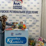 Актив Единой России Джейрахского района поддержал акцию «Коробка храбрости»