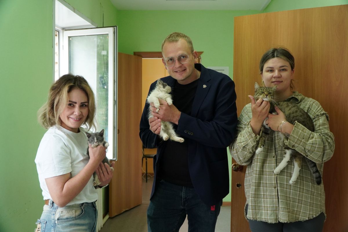 Спасение с хвостиком: как кот Чарли обрёл дом, а зооволонтёры  получили гуманитарную помощь