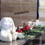 Автопробеги, митинги, возложения цветов: активисты «Единой России» почтили память детей — жертв войны в Донбассе