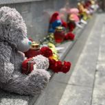 Брянские молодогвардейцы почтили память «Донбасских Ангелов»