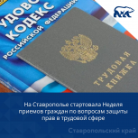 На Ставрополье стартовала Неделя приемов граждан по вопросам защиты прав в трудовой сфере