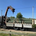 При содействии депутатов «Единой России» в зооприюте Калининграда обновили вольеры