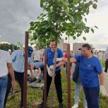 В День города Обнинска высадили 70 лип в честь 70-летия наукограда