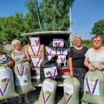 Волонтеры «Единой России»: в единстве наша сила!