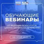 Вебинары по трудоустройству и карьерному развитию проведут для жителей Северной столицы специалисты Центра занятости населения