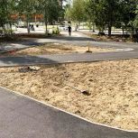 Эксперты: Свыше 4,5 гектара благоустроенной центральной площади получат жители Лангепаса