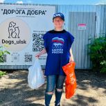 «Единая Россия» передала помощь в приют для животных в Ульяновске