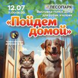 В Рязани состоится очередная благотворительная выставка-пристройство собак и кошек «Пойдем домой»
