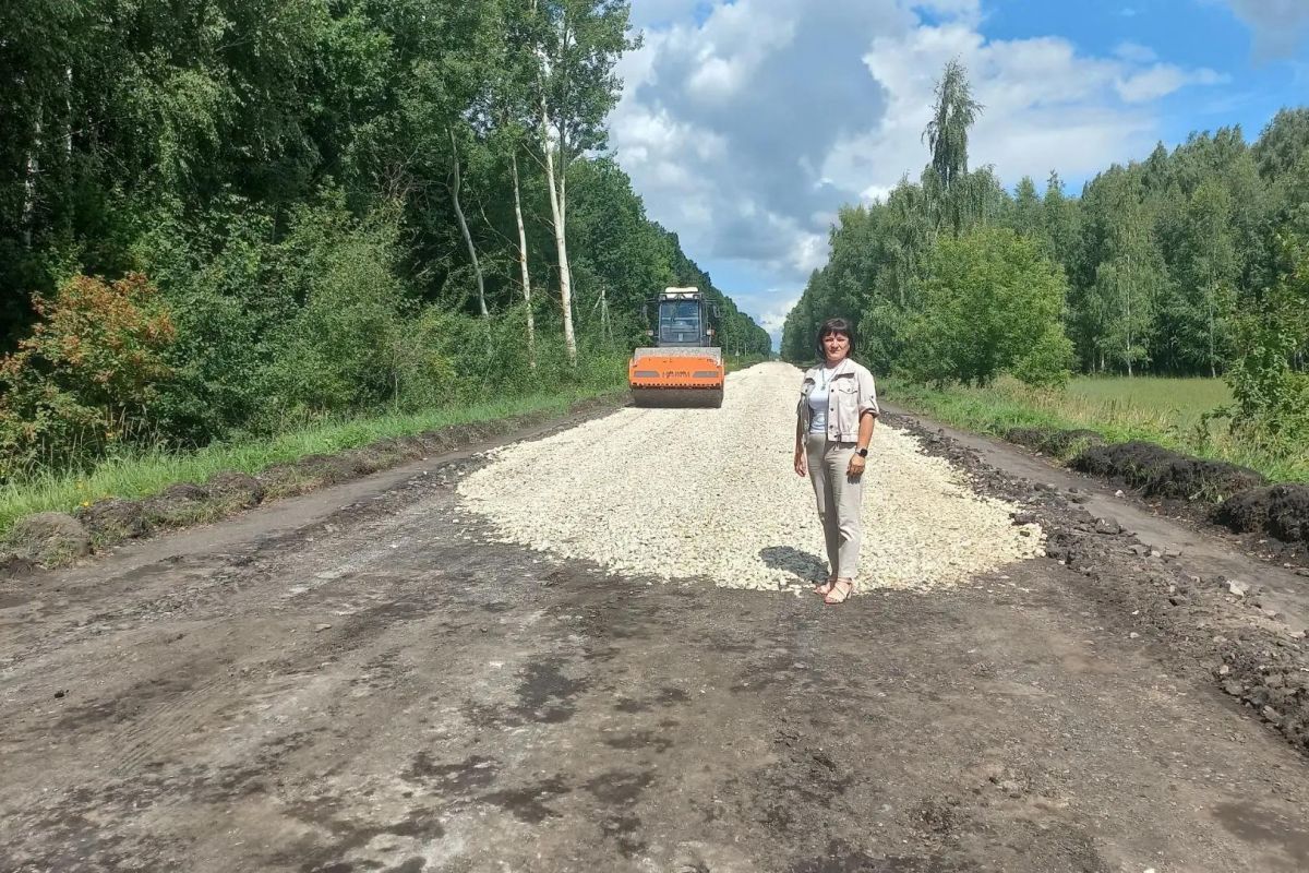 Пичаевские депутаты оценили ремонт дороги на Байловку 2-ю