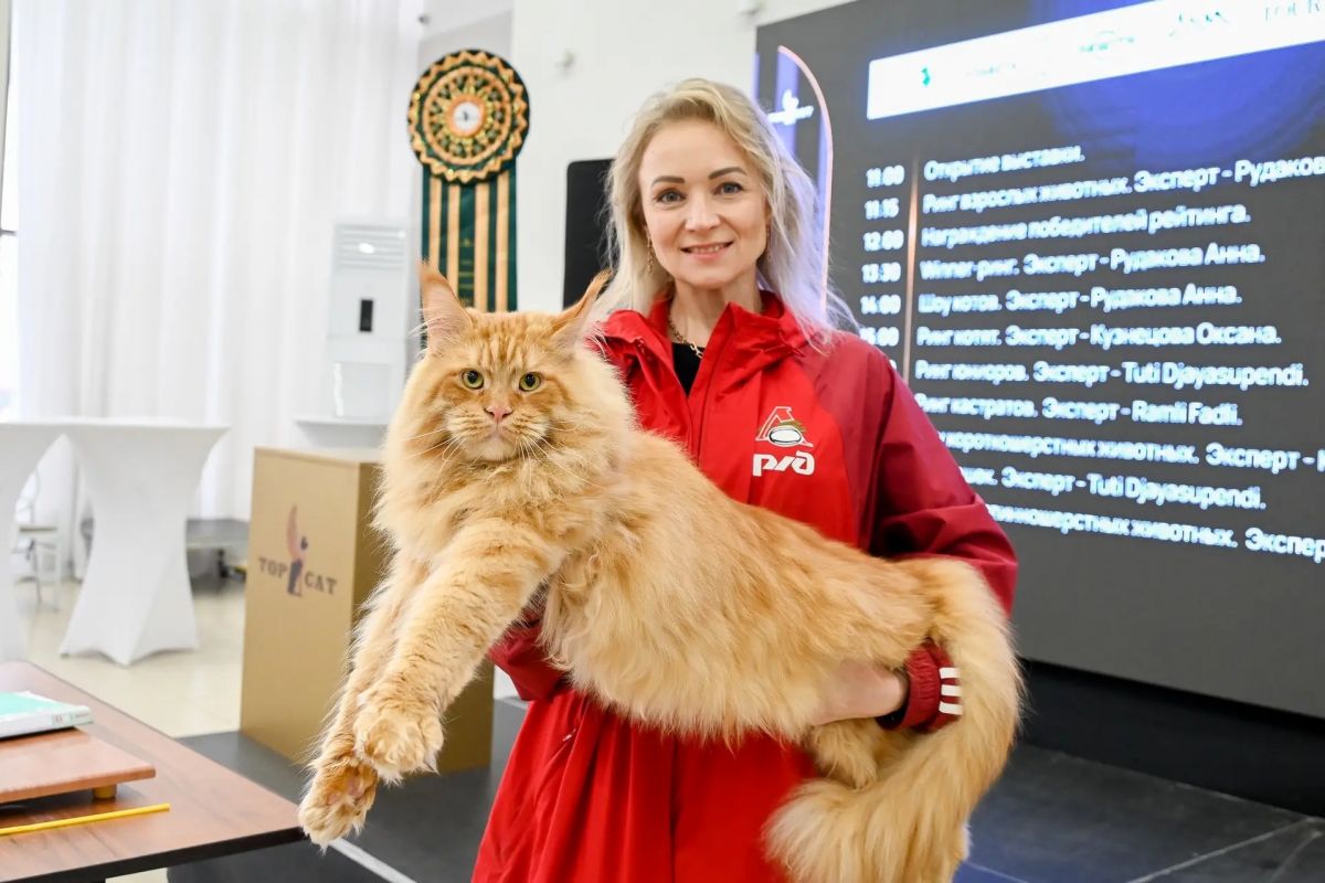 В Саранске прошел Фестиваль домашних животных, организованный в рамках партийного проекта «Защита животного мира»