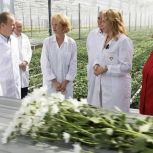 Всероссийский день поля стартовал в Алтайском крае