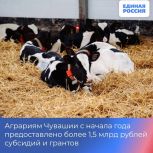 Аграриям Чувашии с начала года предоставлено более 1,5 млрд рублей субсидий и грантов