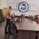 Урок доброты: «Мы в ответе за тех, кого приручили»