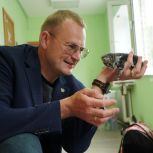 Спасение с хвостиком: как кот Чарли обрёл дом, а зооволонтёры  получили гуманитарную помощь