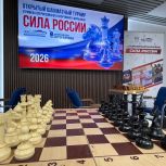 Региональный этап открытого шахматного турнира в рамках Всероссийского фестиваля «Сила России» прошел в Благовещенске