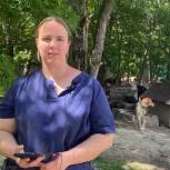 Волонтеры ставропольского приюта для животных проголосовали за гимн края