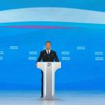 Дмитрий Медведев: Специальный раздел предвыборной Программы «Единой России» будет посвящен экологии