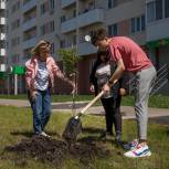 День эколога в Самарской области отметили субботниками, высадкой деревьев и эковеломарафоном – их организовали волонтеры, депутаты и сторонники «Единой России»