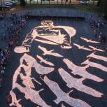В Подмосковье ко Дню памяти и скорби создали огненную картину из 22 тысяч свечей