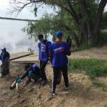 Любинские единороссы приняли активное участие в уборке берега озера Старица