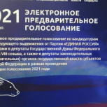 В «Единой России» подвели итоги предварительного голосования
