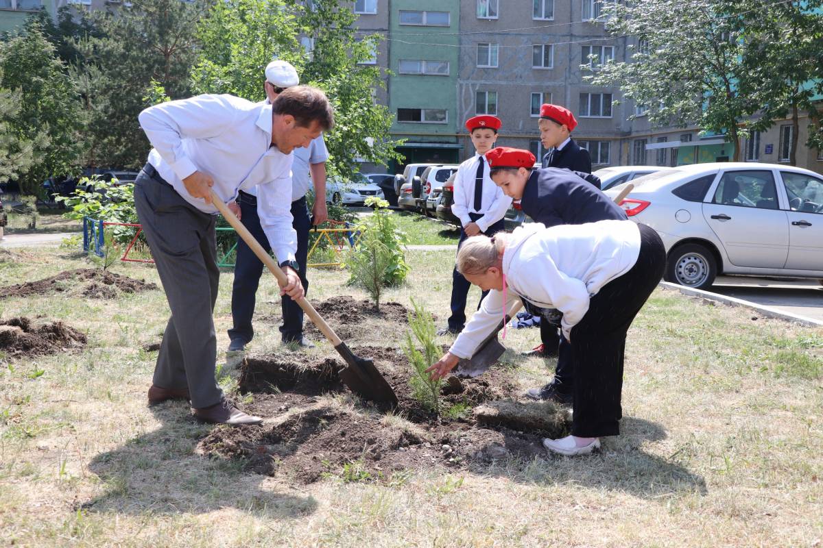 В Уфе ко Дню памяти и скорби появилась аллея «Памяти»