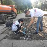 Орловские волонтёры посадили цветы на Аллее Героев