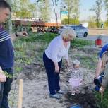 Активисты «Единой России» высадили деревья в поселке Тополево Хабаровского края
