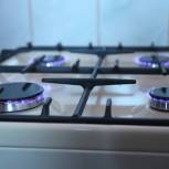 В Смоленске «Единая Россия» поможет заменить газовые плиты в квартирах одиноких пенсионеров, многодетных и малообеспеченных семей