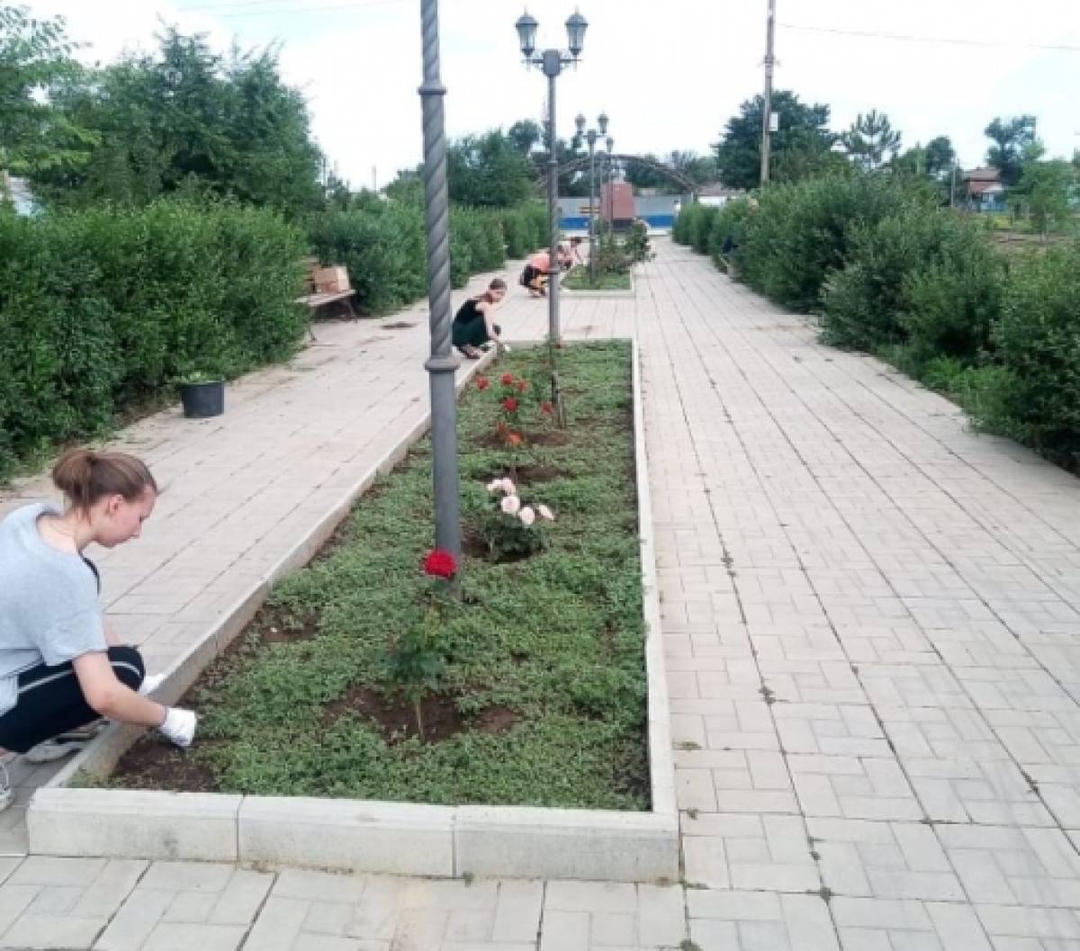 Субботник по благоустройству парка в селе Приютное