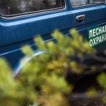 В «Единой России» предложили увеличить количество лесных инспекторов и поднять им зарплату