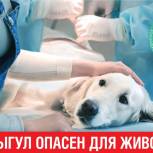 Депутат-единоросс городского Собрания Сочи помог реализовать эко-инициативу