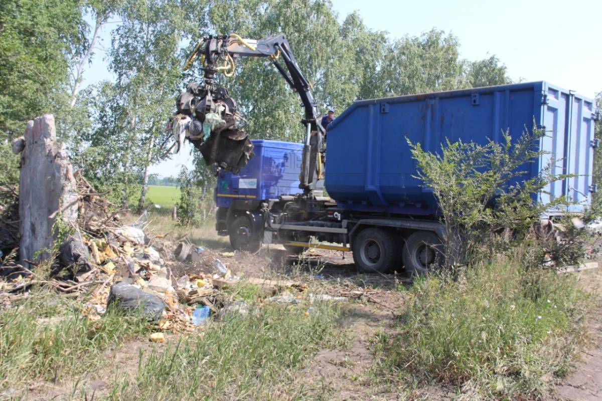 Ульяновские молодогвардейцы добились ликвидации несанкционированной свалки  вблизи села Карлинское