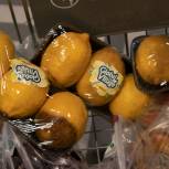Салехардские активисты проверили качество фруктов и овощей в магазинах города