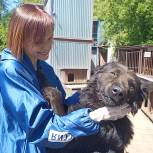 Активисты партии «Единая Россия» посетили приют для животных в Твери