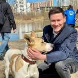 Александр Козлов: Необходимо формировать институт ответственности за содержание домашних животных