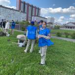 В 10 школах Ставрополя высадили 100 саженцов павловнии