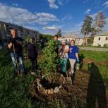 В Вишневогорском городском поселении партийцы высадили деревья и кустарники